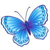 papillon papillon